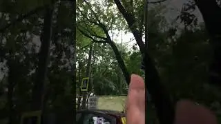 Упало 5 деревьев на машины