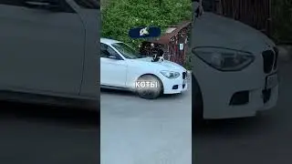 КОТЫ НА БМВ