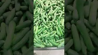 I LOVE CUCUMBER#asmr #short #viralvideo #trending #viralshorts
