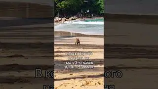 настроение после отпуска