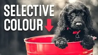 How To Create a Selective Color Photo Effect in Adobe Photoshop