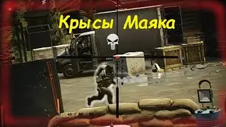 Крысы Маяка самые жирные в игре...#escapefromtarkov #sheriff #Тарков#ефт#тарков #tarkov#шериф