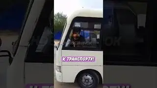 🤣 Пёс выгнал всех из автобуса и занял место главного! | Новостничок