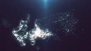 Water Animation using Trapcode Particular in Adobe After Effects | Tutorial Coming Soon