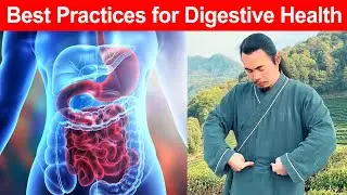 How to Improve Digestive Health | Taichi Zidong