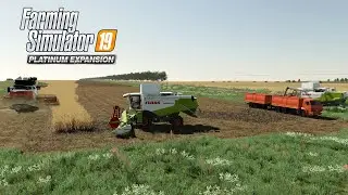 FS19 Timelapse #39 Большая уборочная в Новгородовке,Claas Lexion 560,RSM Torum 770, Торум-760