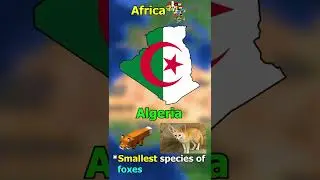 Did you know in Algeria.....