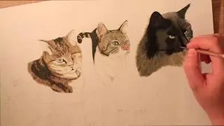 Acrylic Painting Time-lapse (Cats)
