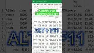 Automate Data Formatting in Excel with VBA
