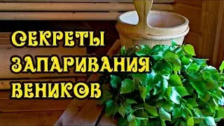 ЗАПАРИВАНИЯ ВЕНИКА ДЛЯ БАНИ ЭКСПРЕСС-МЕТОДОМ | КАК ЗАПАРИТЬ БАННЫЙ ВЕНИК БЫСТРО, ПРАВИЛЬНО И ЛЕГКО!