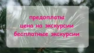 Ценообразование. Часть 2. Предоплаты. Цена на экскурсии. Бесплатные экскурсии.