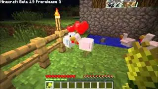 Minecraft - Baby Chickens in Minecraft!