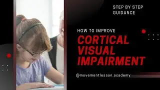 How to improve Cortical Visual Impairment. Functional vision, CVI assessment, and interventions