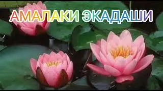 10 марта 2025 (У вас может быть и 9 марта. Спрашивайте в ком-ях).  АМАЛАКИ ЭКАДАШИ. Не пропусти!