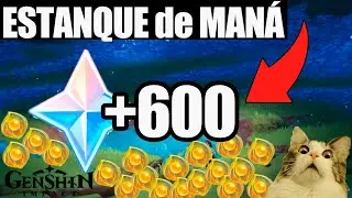+600 PROTOGEMAS 😱 DONDE USAR LAS PLUMAS LUMIPRISTINAS || Genshin Impact