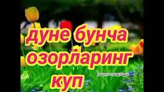 10 февраля 2024 г.