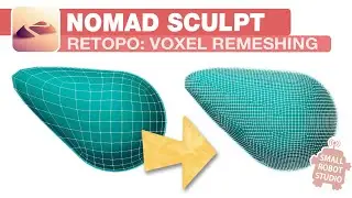 Nomad Sculpt: Retopology - Voxel Remesh