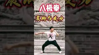 How NOT to stomp in Baji Quan (Sub Fr-Eng)