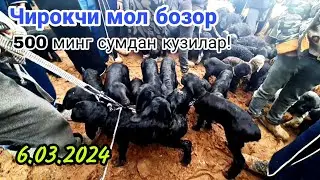 Чирокчи мол бозори нархлари 6.03.2024
