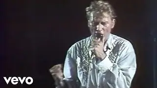 Johnny Hallyday - L'envie (Live à Bercy / 1987)