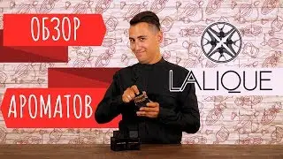 Обзор ароматов Lalique. Encre Noire, Encre Noire, Encre Noire A L`extreme