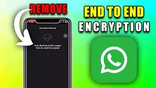 How to Remove End to End Encryption on WhatsApp (2024)