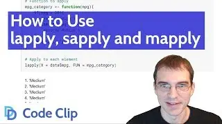 How to Use lapply, sapply and mapply in R