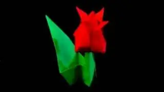 How to make an Origami Tulip