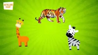 Sevimli Dostlarımız, Yabani hayvanları tanıyalım mı? 1. Video, Eğlenceli Video