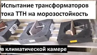 Испытания трансформаторов тока ТТН TDM ELECTRIC на морозостойкость в климатической камере.