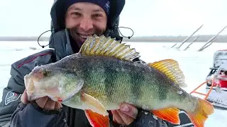 КИЛОГРАММОВЫЕ, Крупные ОКУНИ! Ловля на вибы! Зимняя рыбалка с ночевкой в комфорте. Клёвый ЖОР!