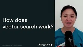 LLM Module 2 - Embeddings, Vector Databases, and Search | 2.3 How does Vector Search work