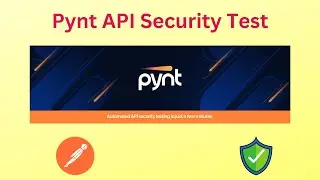 Pynt | API Security Testing for Testers and Developers | Postman