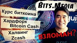 Курс БИТКОИНА / Хардфорк в блокчейне BITCOIN CASH / Халвинг ZCASH / Утечка данных на бирже LIQUID