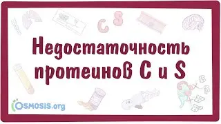 Недостаточность протеинов C и S — причины, симптомы, патогенез, диагностика, лечение