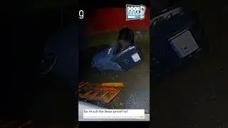 Bear Proof Trash Can (Caught on Ring Cam)
