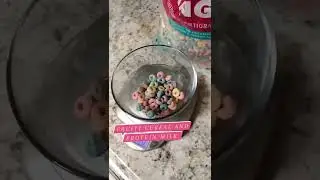 Protein milk and cereal