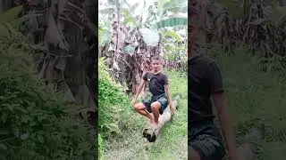 How to Dance in a Moving, Hanging Log?