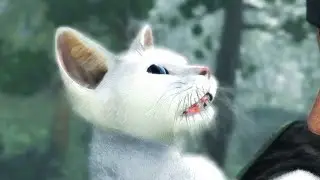 All Senzoku Cat Locations And Capture Guide Rise of The Ronin