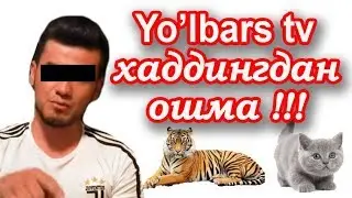 #Yo