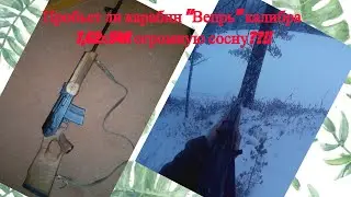 Карабин 