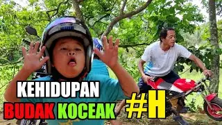 KEHIDUPAN BUDAK KOCEAK | H