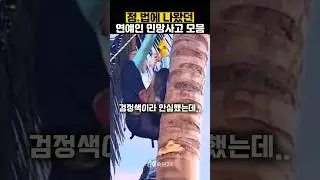 정법 나왔다가 민망 실수한 연예인 모음3