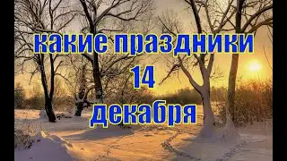 какой сегодня праздник? \ 14 декабря \ праздник каждый день \ праздник к нам приходит \ есть повод