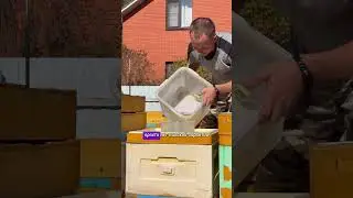Мёд из сахара 
