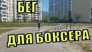 ДОРОЖНЫЕ РАБОТЫ В БОКСЕ!!! БЕГОВЫЕ НАГРУЗКИ ДЛЯ БОКСЕРА.