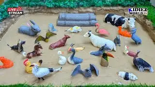 Cutest Farm & Domestic Animals Toys Stuck in Mud | Rescue Muddy Animals & Fun Learning for Kids