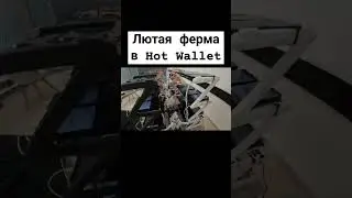 Лютая ферма в HOT Wallet в Телеграм 😱 