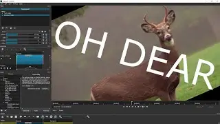 Rotate Video and Text with Keyframes in Shotcut [TUTORIAL]