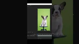 How to Remove Green Screen from video